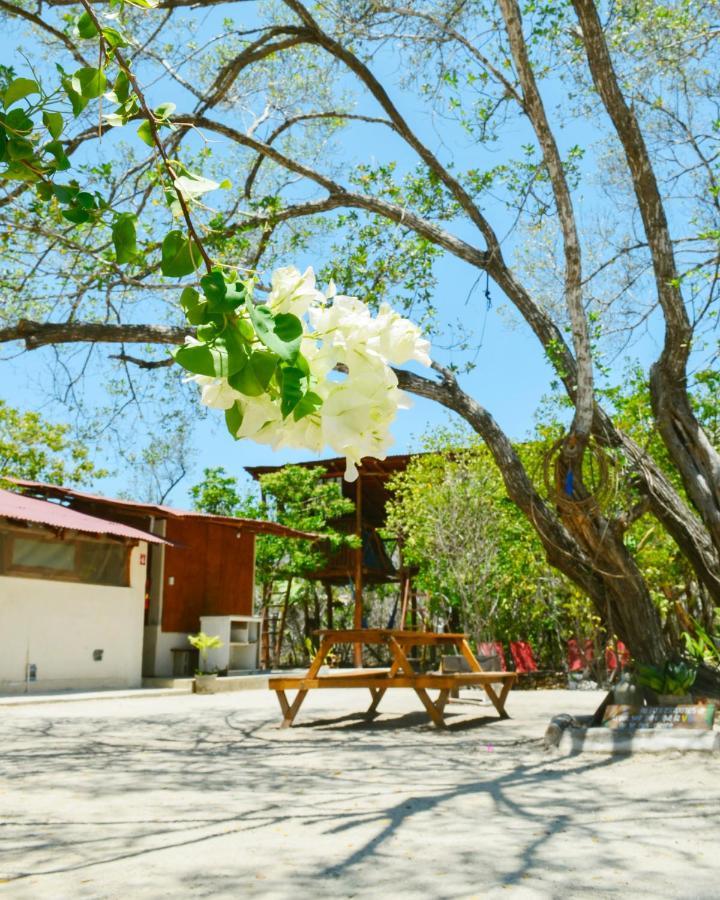 Skycamp Camping Holbox Dış mekan fotoğraf